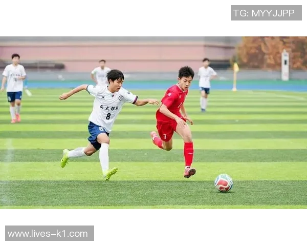 西南大学足球联赛精彩回顾与未来展望，团结拼搏共创辉煌校园足球新篇章