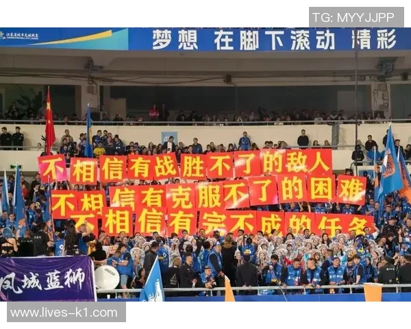 足球场围边的魅力与挑战探讨球迷文化与运动精神的交融